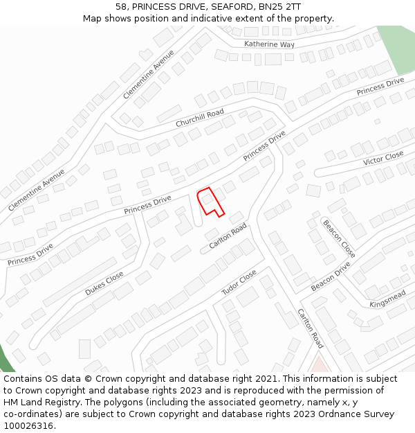 58, PRINCESS DRIVE, SEAFORD, BN25 2TT: Location map and indicative extent of plot