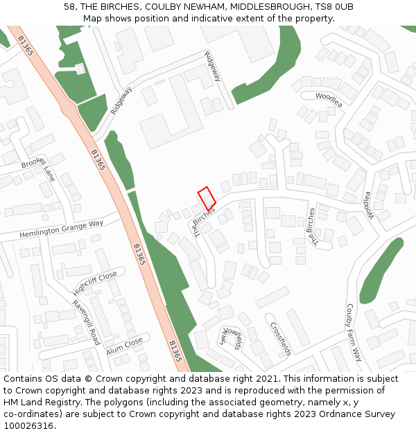 58, THE BIRCHES, COULBY NEWHAM, MIDDLESBROUGH, TS8 0UB: Location map and indicative extent of plot