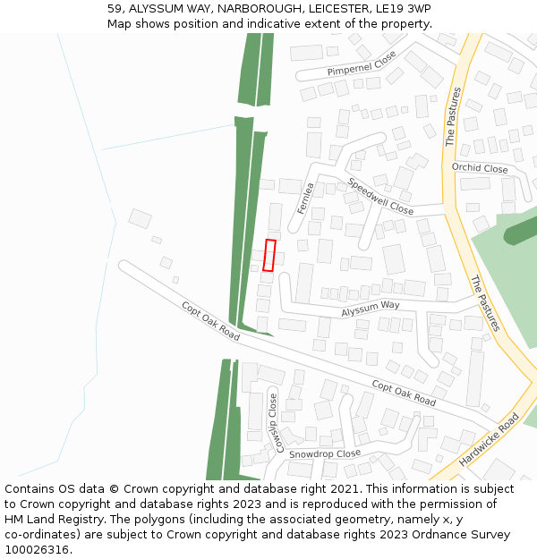 59, ALYSSUM WAY, NARBOROUGH, LEICESTER, LE19 3WP: Location map and indicative extent of plot
