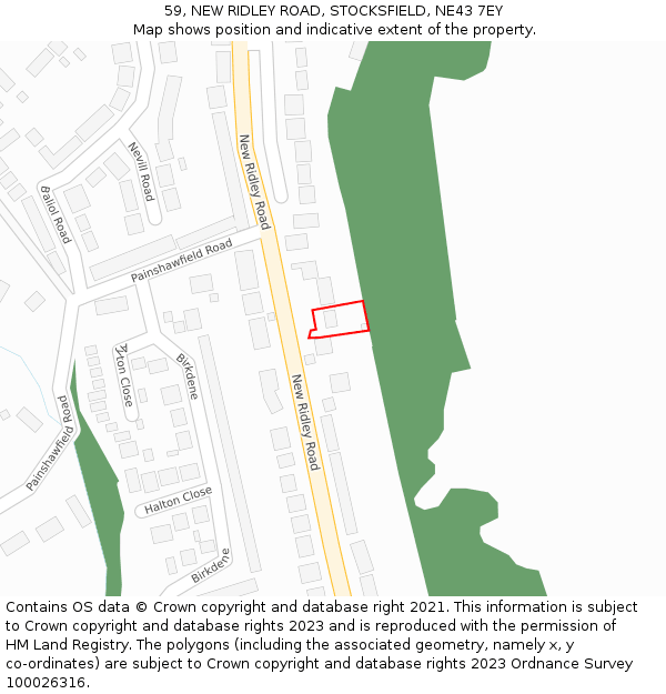 59, NEW RIDLEY ROAD, STOCKSFIELD, NE43 7EY: Location map and indicative extent of plot