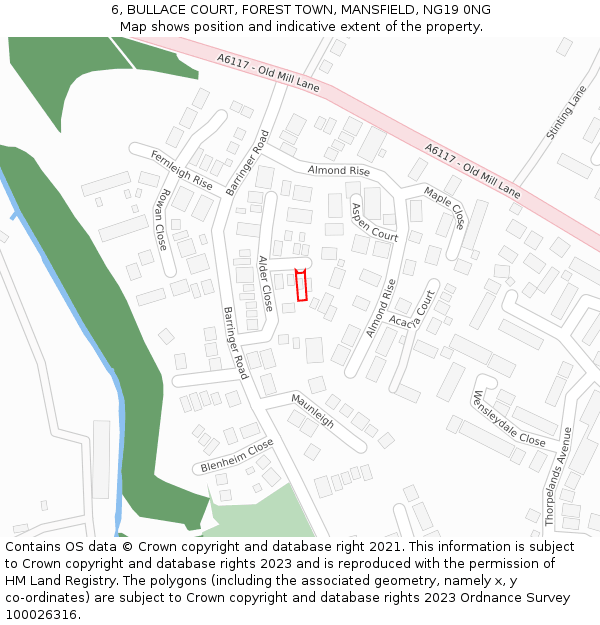 6, BULLACE COURT, FOREST TOWN, MANSFIELD, NG19 0NG: Location map and indicative extent of plot