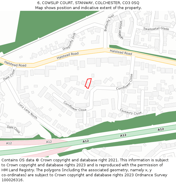6, COWSLIP COURT, STANWAY, COLCHESTER, CO3 0SQ: Location map and indicative extent of plot