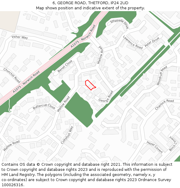 6, GEORGE ROAD, THETFORD, IP24 2UD: Location map and indicative extent of plot