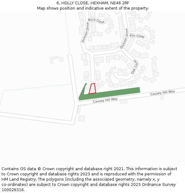 6, HOLLY CLOSE, HEXHAM, NE46 2RF: Location map and indicative extent of plot