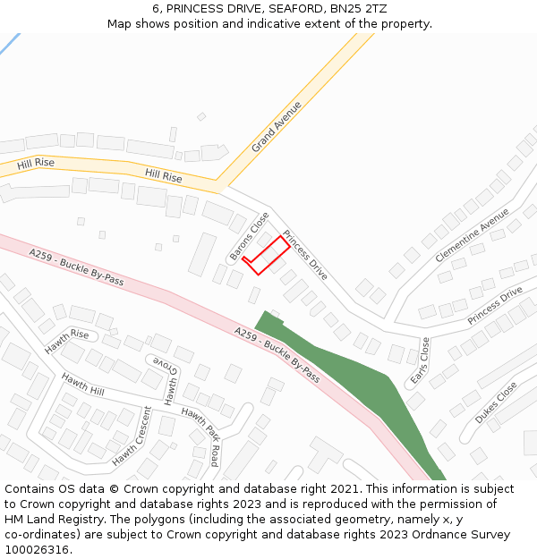 6, PRINCESS DRIVE, SEAFORD, BN25 2TZ: Location map and indicative extent of plot