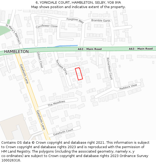 6, YORKDALE COURT, HAMBLETON, SELBY, YO8 9YA: Location map and indicative extent of plot
