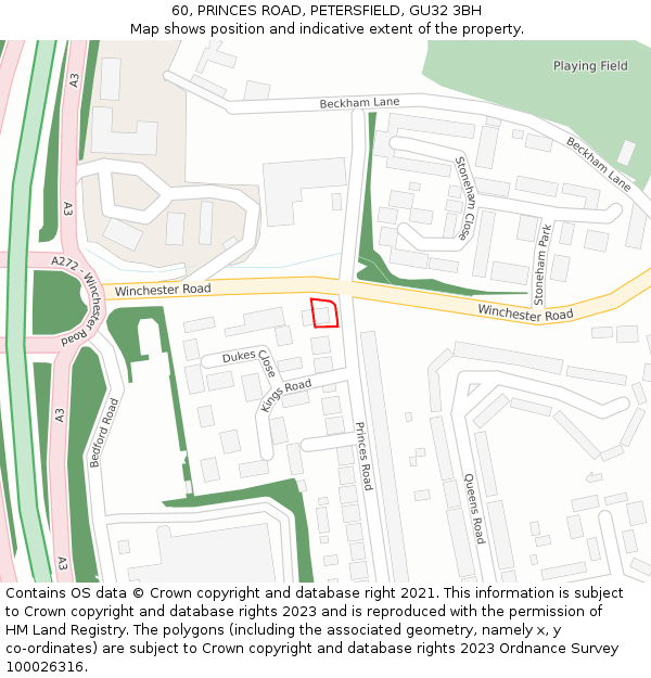 60, PRINCES ROAD, PETERSFIELD, GU32 3BH: Location map and indicative extent of plot