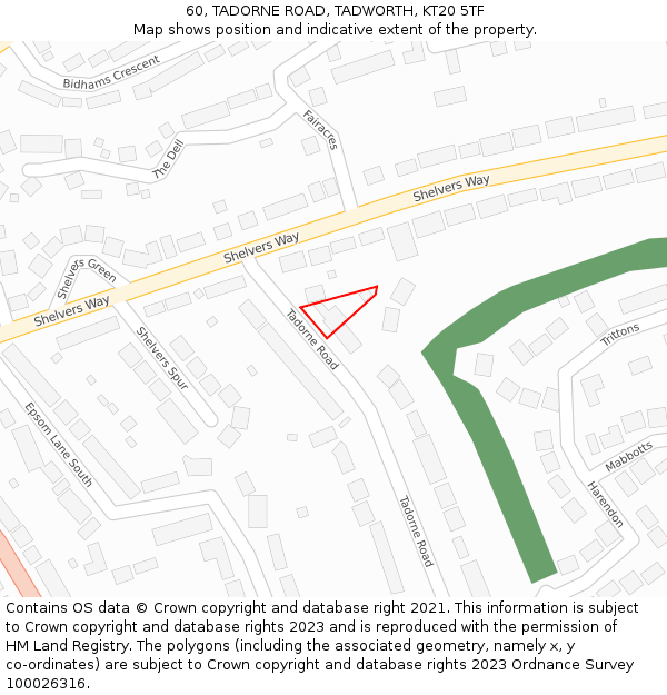60, TADORNE ROAD, TADWORTH, KT20 5TF: Location map and indicative extent of plot