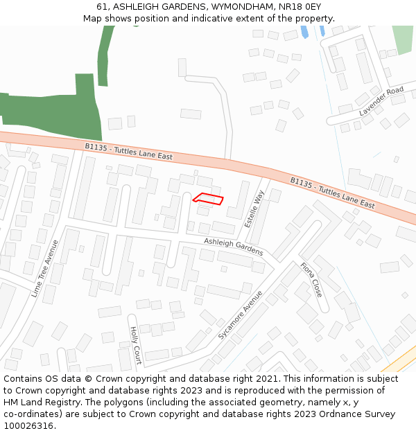 61, ASHLEIGH GARDENS, WYMONDHAM, NR18 0EY: Location map and indicative extent of plot