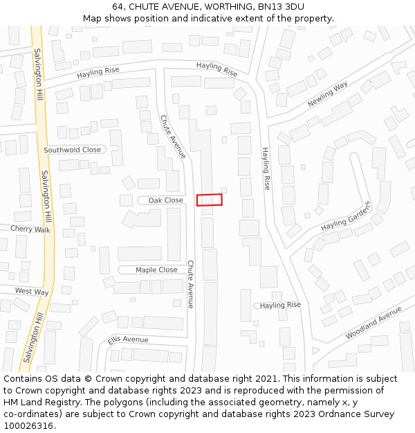 64, CHUTE AVENUE, WORTHING, BN13 3DU: Location map and indicative extent of plot