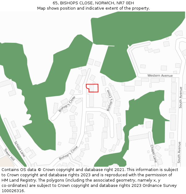 65, BISHOPS CLOSE, NORWICH, NR7 0EH: Location map and indicative extent of plot