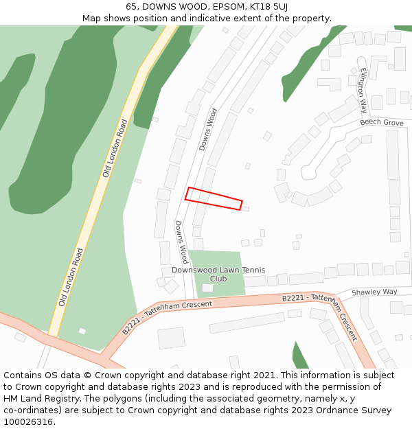 65, DOWNS WOOD, EPSOM, KT18 5UJ: Location map and indicative extent of plot