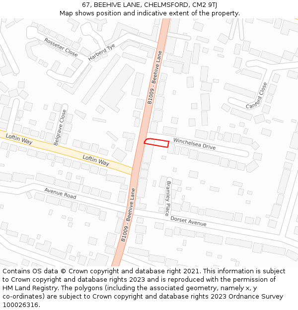 67, BEEHIVE LANE, CHELMSFORD, CM2 9TJ: Location map and indicative extent of plot