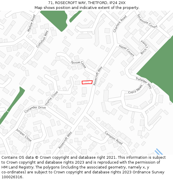 71, ROSECROFT WAY, THETFORD, IP24 2XX: Location map and indicative extent of plot