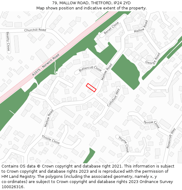 79, MALLOW ROAD, THETFORD, IP24 2YD: Location map and indicative extent of plot
