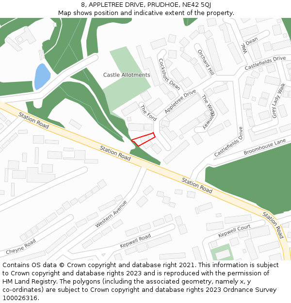 8, APPLETREE DRIVE, PRUDHOE, NE42 5QJ: Location map and indicative extent of plot