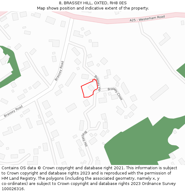 8, BRASSEY HILL, OXTED, RH8 0ES: Location map and indicative extent of plot