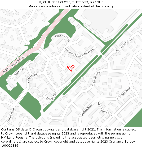 8, CUTHBERT CLOSE, THETFORD, IP24 2UE: Location map and indicative extent of plot