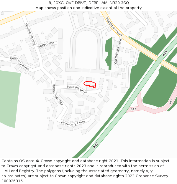 8, FOXGLOVE DRIVE, DEREHAM, NR20 3SQ: Location map and indicative extent of plot