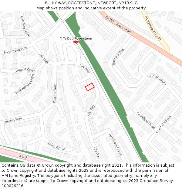 8, LILY WAY, ROGERSTONE, NEWPORT, NP10 9LG: Location map and indicative extent of plot