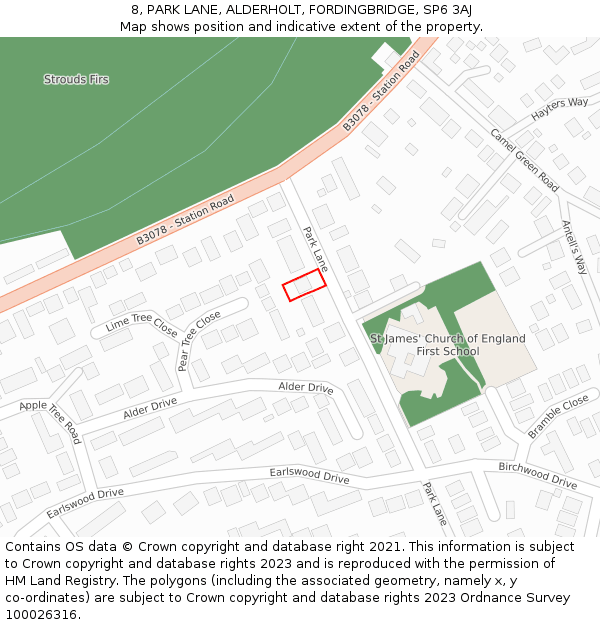 8, PARK LANE, ALDERHOLT, FORDINGBRIDGE, SP6 3AJ: Location map and indicative extent of plot