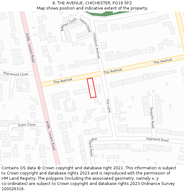 8, THE AVENUE, CHICHESTER, PO19 5PZ: Location map and indicative extent of plot