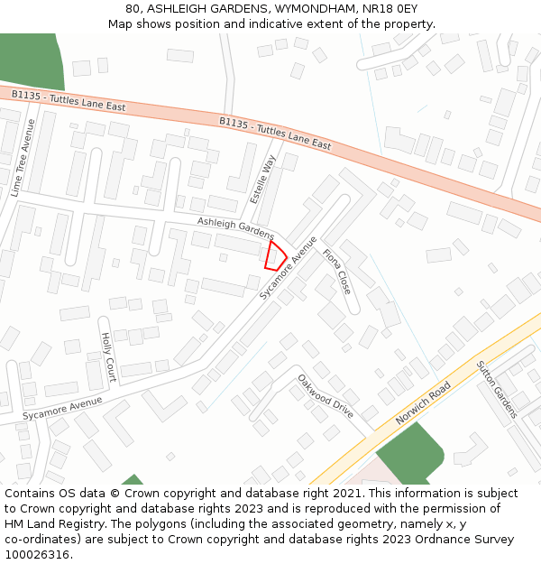 80, ASHLEIGH GARDENS, WYMONDHAM, NR18 0EY: Location map and indicative extent of plot