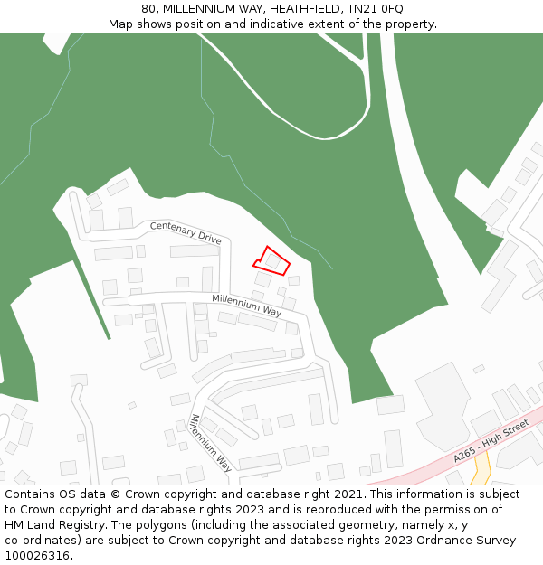 80, MILLENNIUM WAY, HEATHFIELD, TN21 0FQ: Location map and indicative extent of plot