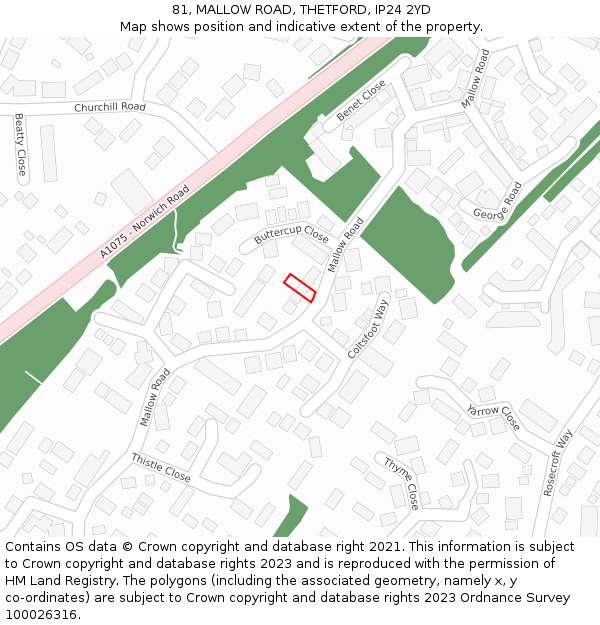81, MALLOW ROAD, THETFORD, IP24 2YD: Location map and indicative extent of plot
