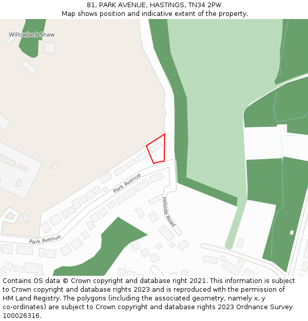81, PARK AVENUE, HASTINGS, TN34 2PW: Location map and indicative extent of plot