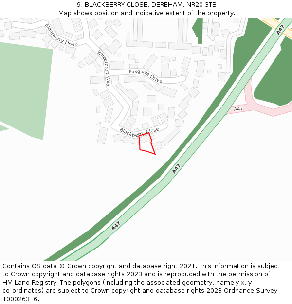 9, BLACKBERRY CLOSE, DEREHAM, NR20 3TB: Location map and indicative extent of plot