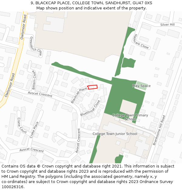 9, BLACKCAP PLACE, COLLEGE TOWN, SANDHURST, GU47 0XS: Location map and indicative extent of plot