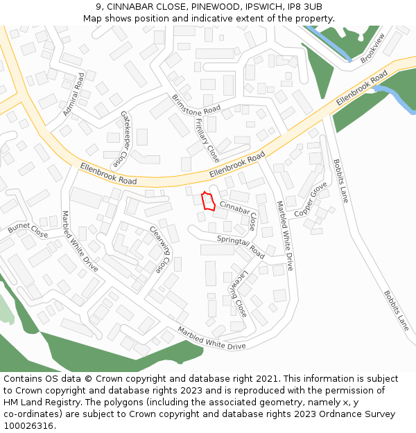 9, CINNABAR CLOSE, PINEWOOD, IPSWICH, IP8 3UB: Location map and indicative extent of plot