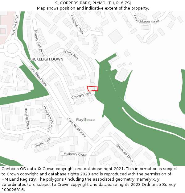 9, COPPERS PARK, PLYMOUTH, PL6 7SJ: Location map and indicative extent of plot