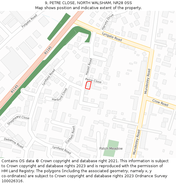 9, PETRE CLOSE, NORTH WALSHAM, NR28 0SS: Location map and indicative extent of plot