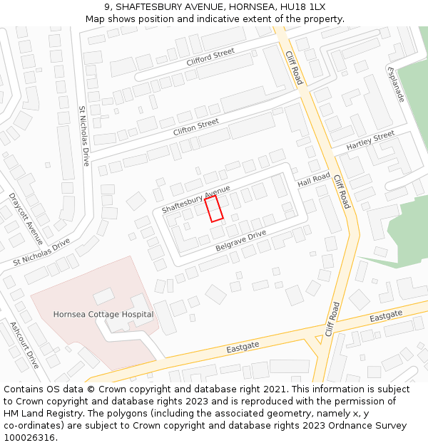 9, SHAFTESBURY AVENUE, HORNSEA, HU18 1LX: Location map and indicative extent of plot
