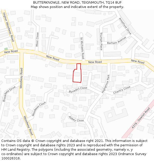 BUTTERKNOWLE, NEW ROAD, TEIGNMOUTH, TQ14 8UF: Location map and indicative extent of plot