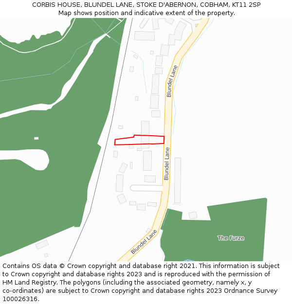 CORBIS HOUSE, BLUNDEL LANE, STOKE D'ABERNON, COBHAM, KT11 2SP: Location map and indicative extent of plot