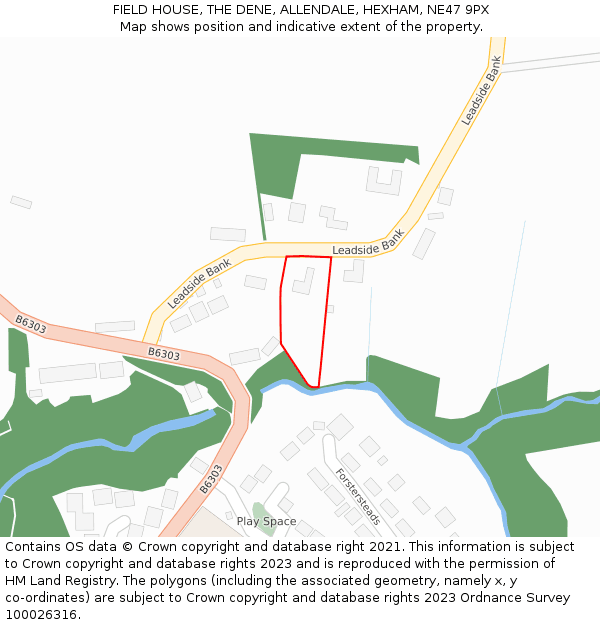 FIELD HOUSE, THE DENE, ALLENDALE, HEXHAM, NE47 9PX: Location map and indicative extent of plot