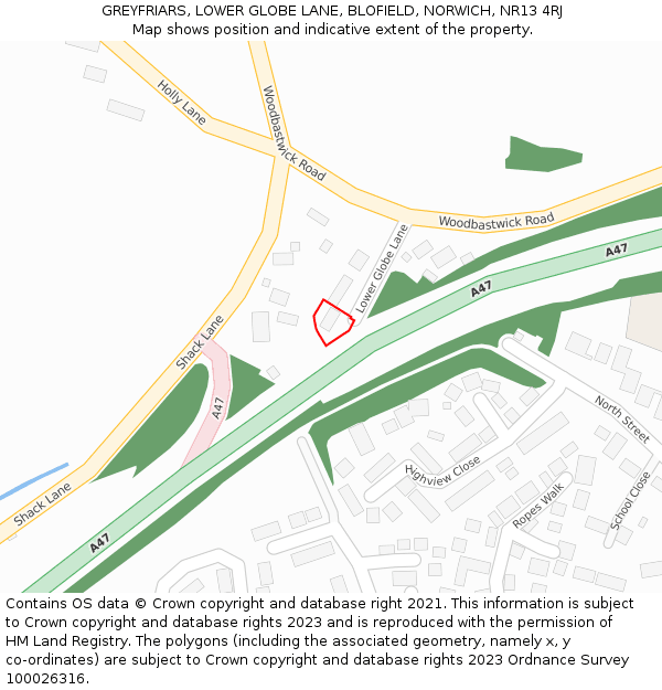 GREYFRIARS, LOWER GLOBE LANE, BLOFIELD, NORWICH, NR13 4RJ: Location map and indicative extent of plot