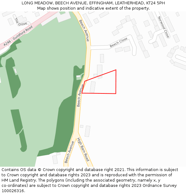 LONG MEADOW, BEECH AVENUE, EFFINGHAM, LEATHERHEAD, KT24 5PH: Location map and indicative extent of plot
