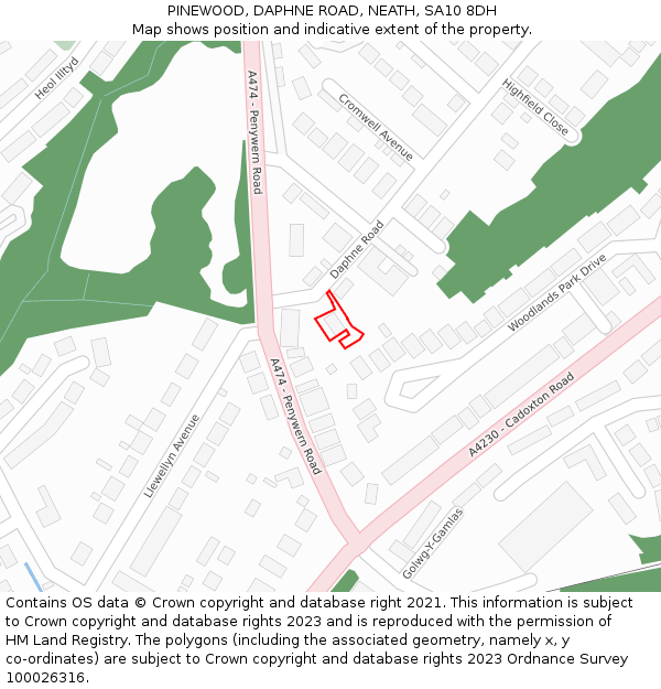 PINEWOOD, DAPHNE ROAD, NEATH, SA10 8DH: Location map and indicative extent of plot