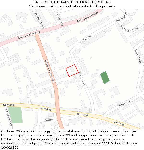 TALL TREES, THE AVENUE, SHERBORNE, DT9 3AH: Location map and indicative extent of plot