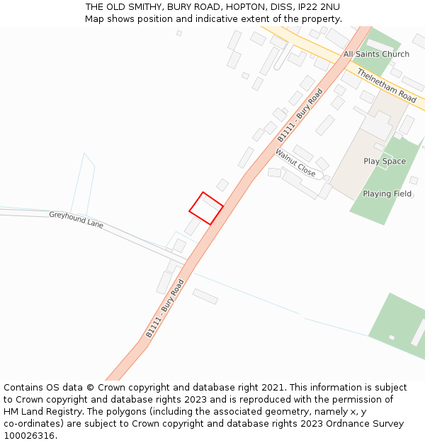 THE OLD SMITHY, BURY ROAD, HOPTON, DISS, IP22 2NU: Location map and indicative extent of plot