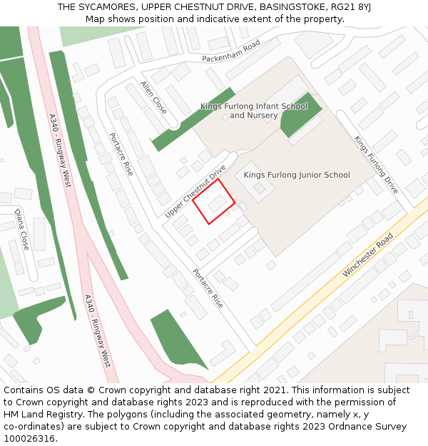 THE SYCAMORES, UPPER CHESTNUT DRIVE, BASINGSTOKE, RG21 8YJ: Location map and indicative extent of plot