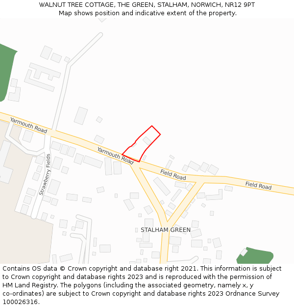 WALNUT TREE COTTAGE, THE GREEN, STALHAM, NORWICH, NR12 9PT: Location map and indicative extent of plot