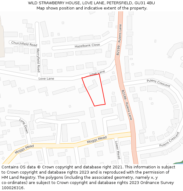 WILD STRAWBERRY HOUSE, LOVE LANE, PETERSFIELD, GU31 4BU: Location map and indicative extent of plot