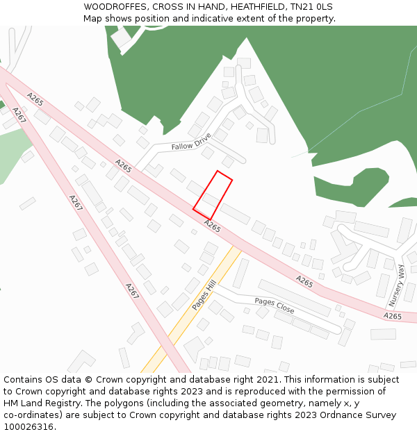 WOODROFFES, CROSS IN HAND, HEATHFIELD, TN21 0LS: Location map and indicative extent of plot