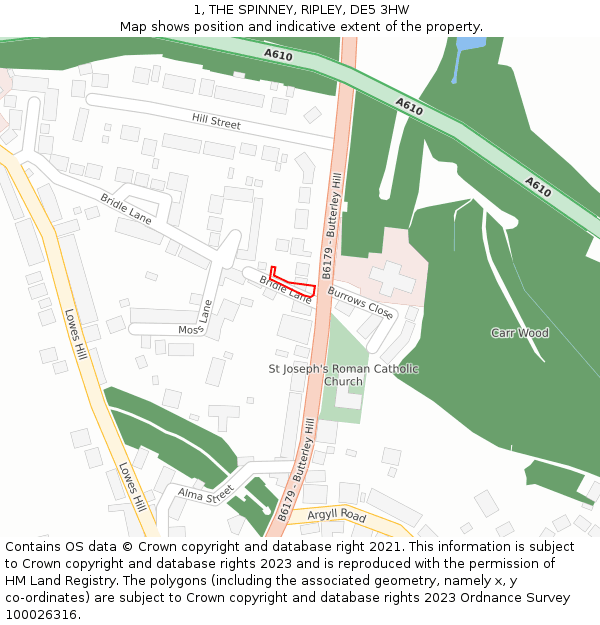 1, THE SPINNEY, RIPLEY, DE5 3HW: Location map and indicative extent of plot