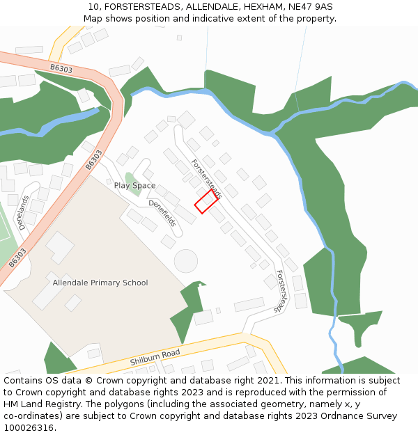 10, FORSTERSTEADS, ALLENDALE, HEXHAM, NE47 9AS: Location map and indicative extent of plot